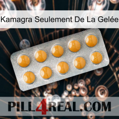Kamagra Seulement De La Gelée levitra1